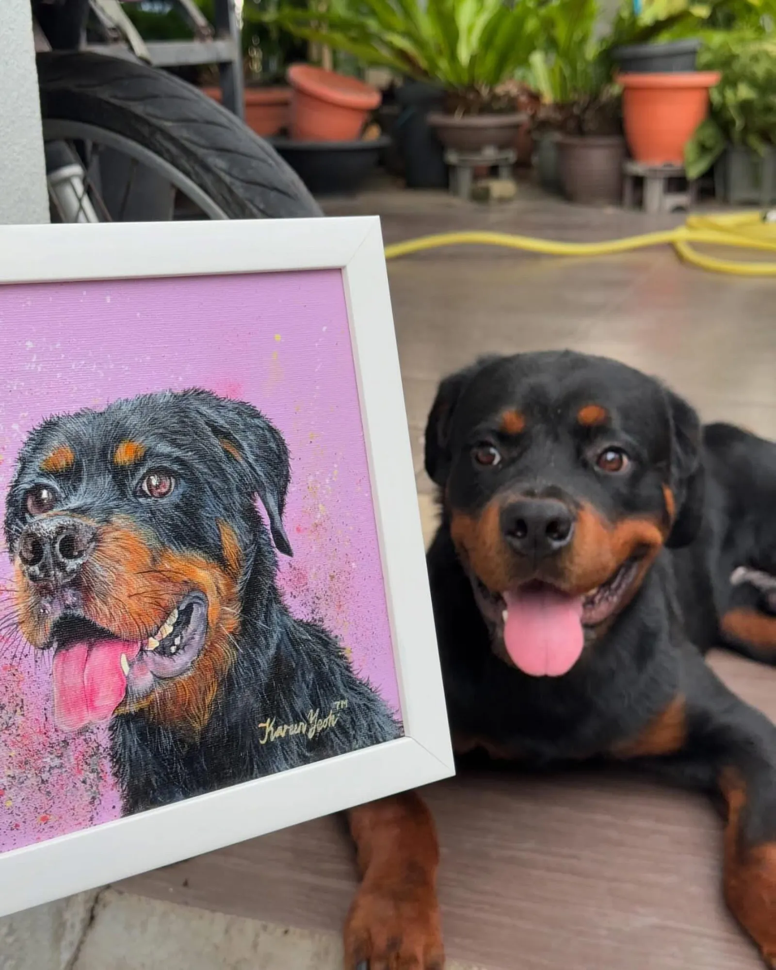 Rottweiler Pride