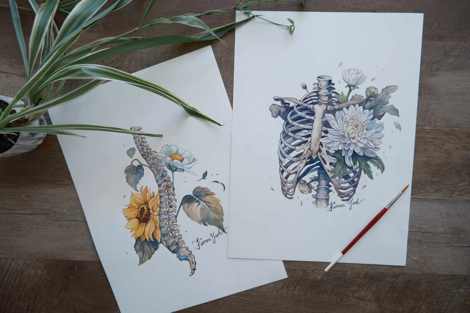 Watercolor anatomical artwork with botanical details on a wood table